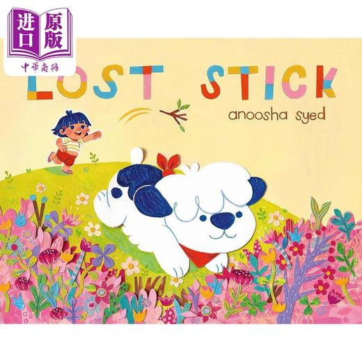 【中商原版】丢失的棍子 Anoosha Syed Lost Stick 英文原版 儿童绘本 宠物故事图画书 精装精品绘本 亲子读物 进口童书 3-7岁 商品图0