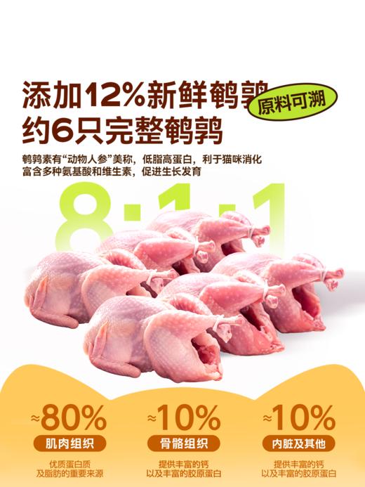 美人喵 鲜肉无谷夹心全价猫粮 2kg 夹心甜甜圈高适口易消化 商品图2