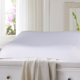 【专柜直发】安睡宝 凝胶凉感曲线记忆绵抗菌枕