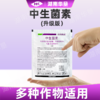 中生菌素升级版细菌性角斑病溃疡病青枯病轮纹病专用农药杀菌剂 商品缩略图3