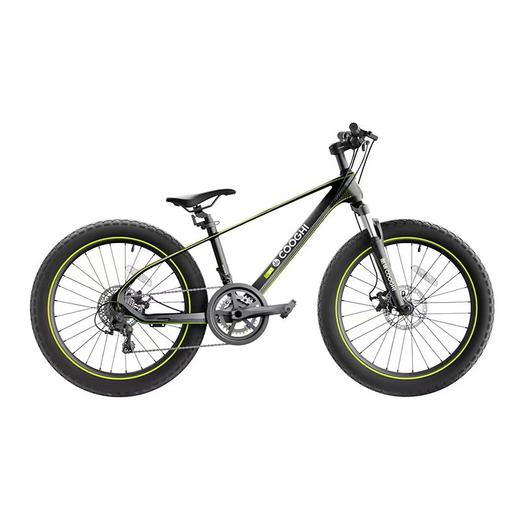 A1自行车（24寸） 商品图0