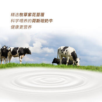 中街1946牛乳冰酪轻享装50g*10 棒支雪糕儿童冰淇淋 牛乳口味 商品图2