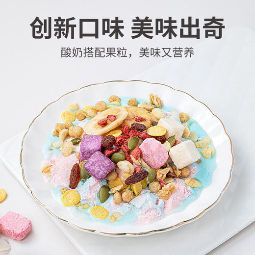 方家铺子 酸奶果粒燕麦520g/袋装 商品图5