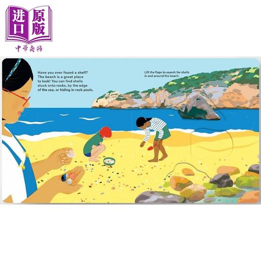 【中商原版】贝壳背后的秘密 Shells... and what they hide inside 英文原版 儿童纸板绘本 少儿科普知识纸板书翻翻书 2-5岁 商品图2