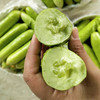 山东白玉水果黄瓜，现摘现发，超嫩、超脆、超解腻！ 商品缩略图5