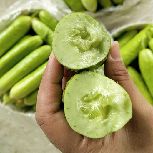 山东白玉水果黄瓜，现摘现发，超嫩、超脆、超解腻！ 商品图5