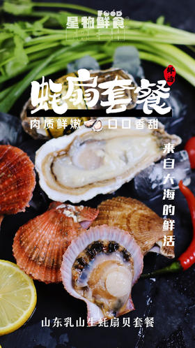 渤海海域 生蚝+扇贝组合