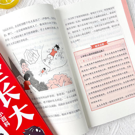 《孩子读得懂的法律常识》+《安全长大》 商品图1
