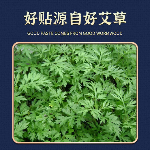 英贝健和真源腰椎艾灸贴10贴*盒 商品图1