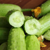 山东白玉水果黄瓜，现摘现发，超嫩、超脆、超解腻！ 商品缩略图4