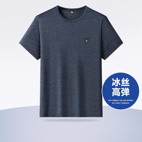 【一口价】【冰丝高弹】【新款DWP】大依优型大码条纹短袖T恤圆领加肥加大男士大号弹力透气舒适夏季半袖