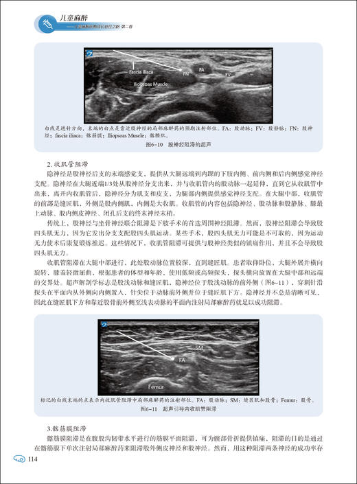 儿童麻醉 儿童麻醉医师成长必经之路 第二卷 危重儿科患者的麻醉注意事项 新型冠状病毒感染患者 科学技术文献出版社9787523511282 商品图4