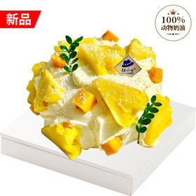 糕小生『金钻凤梨鲜奶蛋糕』回归啦，春天里的清甜C位，2:8酸甜比，给你初恋的味道~