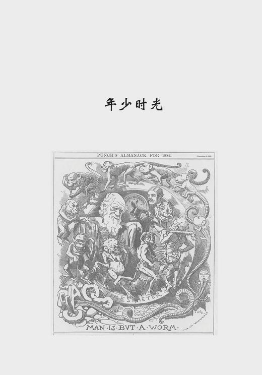 《牛顿》《门捷列夫》《达尔文》（中小学课本里的名人传记丛书）共3册 商品图11