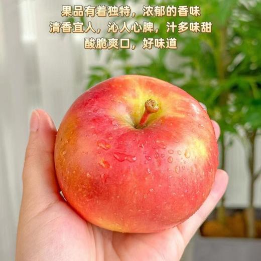 【全国包邮】阿克苏樱桃苹果 新疆直发 全国包邮（2.2kg左右） 商品图0