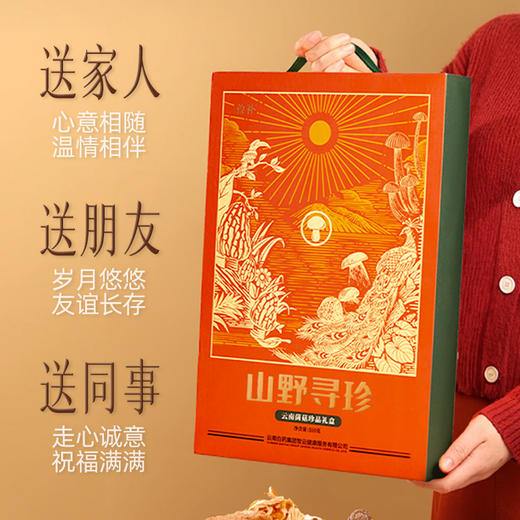 【官方正品】云南白药孜补山野寻珍云南菌菇珍品礼盒310g野生菌高端送礼六种菌菇猴头菇牛肝菌羊肚菌 商品图4