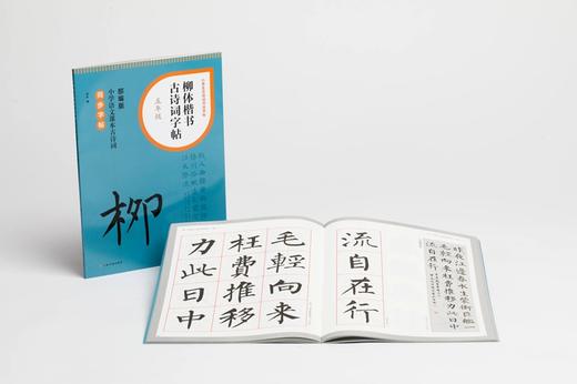 小学生古诗词书法字帖《柳体楷书古诗词字帖》（一、二、三、四、五、六年级） 商品图5