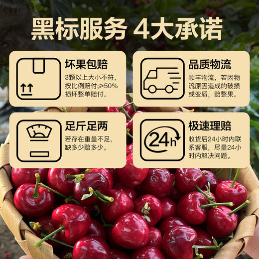 北方春果第一枝 大连美早樱桃 2斤 3斤 5斤 产地直发 新鲜水果 商品图3