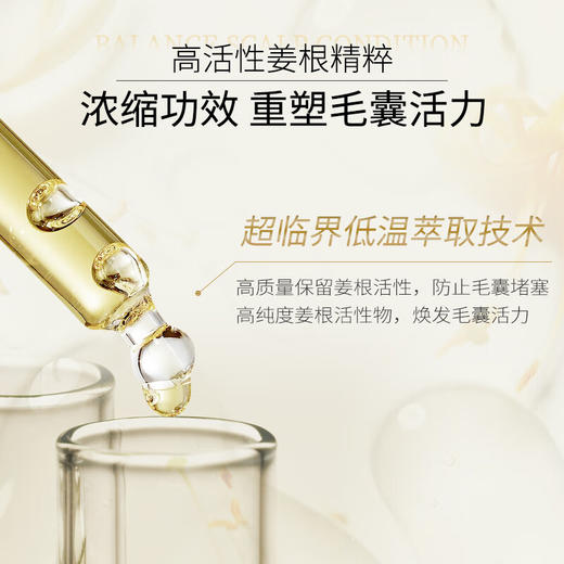 滋源生姜强根健发洗头水(中干性)535ml 商品图3