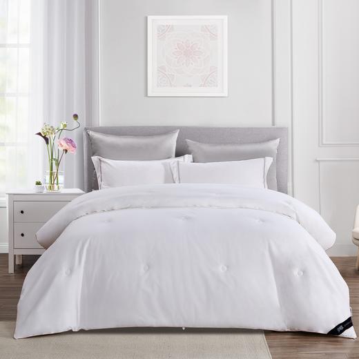 【专柜直发】安睡宝 逸绵点绗桑蚕丝柔丝春秋被 多款可选 商品图0