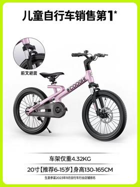 迅猛龙自行车F1
（20寸）