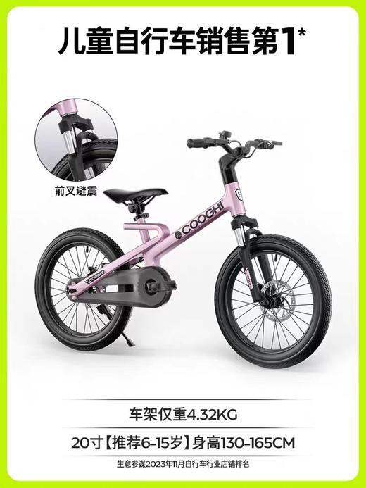 迅猛龙自行车F1
（20寸） 商品图0