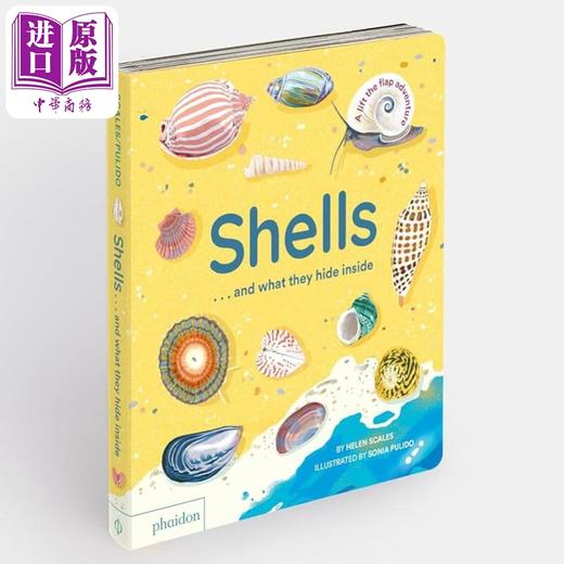 【中商原版】贝壳背后的秘密 Shells... and what they hide inside 英文原版 儿童纸板绘本 少儿科普知识纸板书翻翻书 2-5岁 商品图1