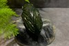 【御珠宫坊】青玉蝉挂件 商品缩略图2