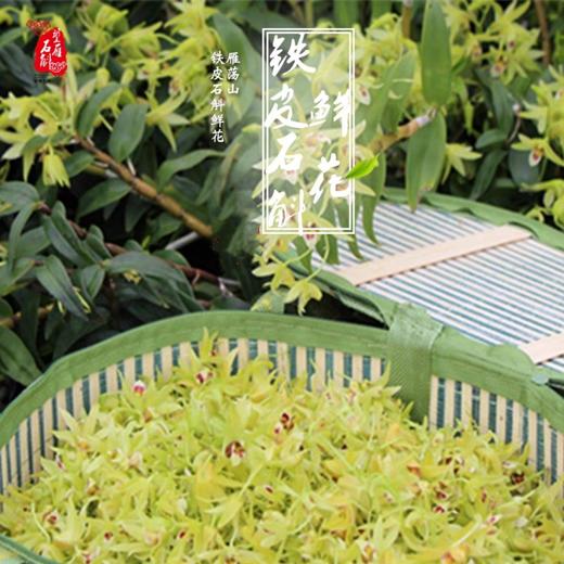 【提前一天预定】铁皮石斛鲜花 商品图2