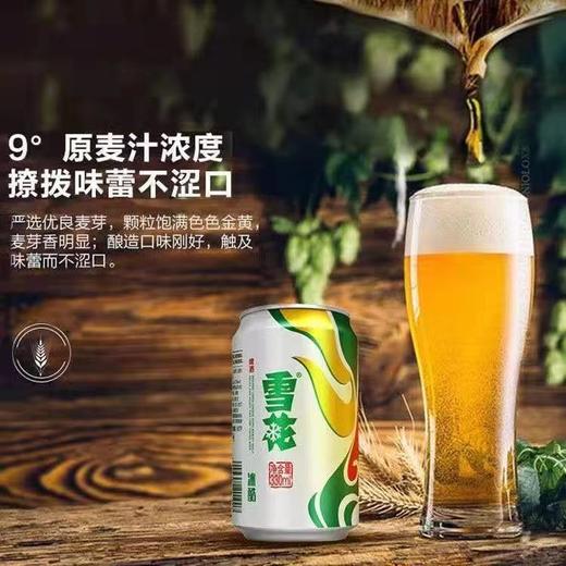 雪花啤酒冰酷（9度）330ml*24罐装【FY】 商品图1