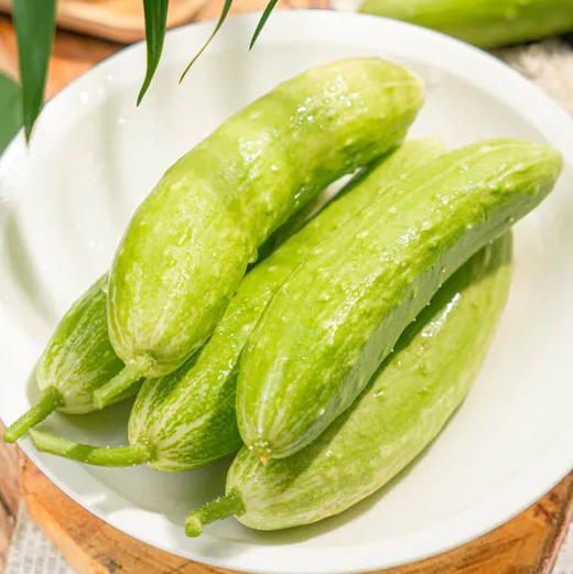 山东白玉水果黄瓜，现摘现发，超嫩、超脆、超解腻！ 商品图0