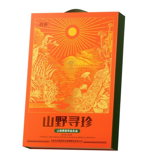 【官方正品】云南白药孜补山野寻珍云南菌菇珍品礼盒310g野生菌高端送礼六种菌菇猴头菇牛肝菌羊肚菌 商品图6