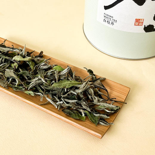 懂茶帝-福鼎白茶吴洋山2021年牡丹不染100g/500g 商品图3