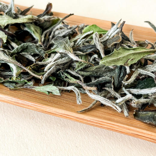 懂茶帝-福鼎白茶吴洋山2021年牡丹不染100g/500g 商品图5