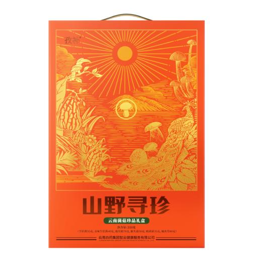 【官方正品】云南白药孜补山野寻珍云南菌菇珍品礼盒310g野生菌高端送礼六种菌菇猴头菇牛肝菌羊肚菌 商品图5