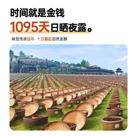 泸州五比一传统瓦缸酿造原料酱油零添加5年特级酱油 商品图5