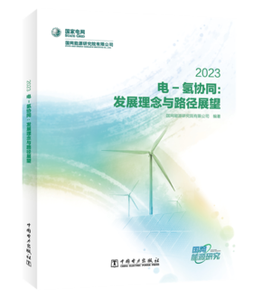 电-氢协同：发展理念与路径展望 2023