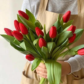 荷兰进口红色郁金香10支