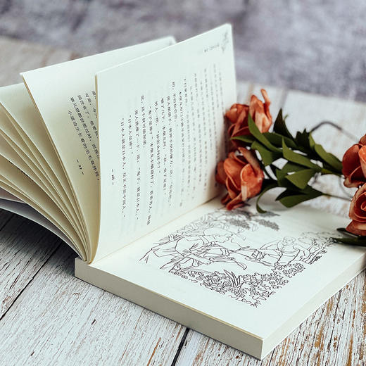 烽火少年行 红鞋+日食 爱国主义教育读物 抗战故事 商品图5