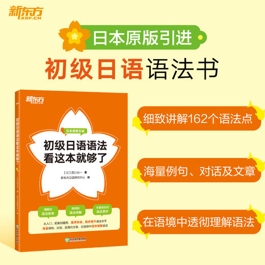 初级日语语法看这本就够了 日本原版引进，大阪大学知名教授编写，一本清晰易懂的初级日语语法书！ 商品图2
