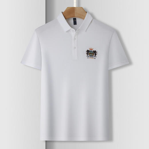 【恬妈推荐】【含桑蚕丝】罗蒙男士夏季商务polo衫男短袖男夏季薄款绣花冰丝t恤男短袖 商品图1