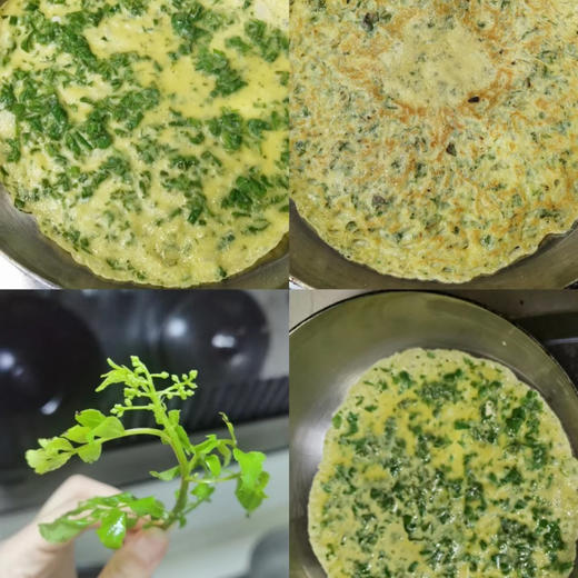 时令菜花椒芽！花椒树发芽期幼嫩的芽叶，油亮鲜绿，麻香味美，是芽苗菜中的珍品，因经过热炒、凉拌、油炸、涮锅后，品尝起来麻香宜人，开胃爽口，具有独特风味和丰富营养！京郊农家院的必点菜之一！250克/份 商品图4