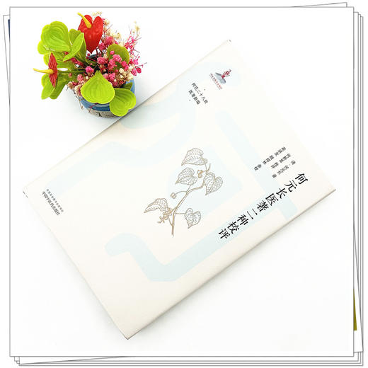 何元长医著二种校评 清·何元长 著 中国中医药出版社 何氏二十八世医著新编 中医临床 书籍 商品图2