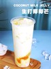 海南椰萃 生椰乳  1kg/袋  生椰拿铁 商品缩略图4