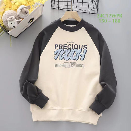 【3月22日 下午15:30 青少卫衣 卫裤 秒杀】大毛圈 高克重 卫衣 卫裤多色 150-180码 商品图0