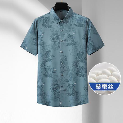 【桑蚕丝】【新款DDA】大依优型大码短袖衬衫花衬衫加肥加大男装大号大码衬衣上衣男士绅士商务休闲半袖夏季 商品图0