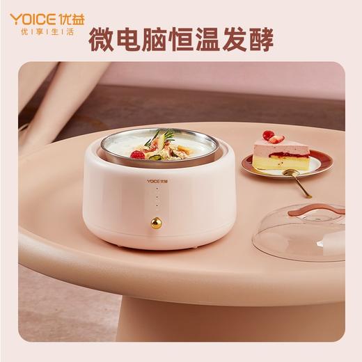 优益多功能酸奶机Y-SA2
 商品图1