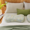 春日写意系列曲线枕荞麦壳枕头护颈椎病荞麦皮睡眠四季 商品缩略图0