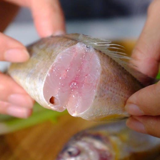 舟山野生小黄鱼 | 舟山本地雷达网海捕 肉质丰腴肥美 油脂丰厚鲜嫩 新鲜刺少 蒜瓣肉紧实有弹性 条条精选营养丰富 商品图4