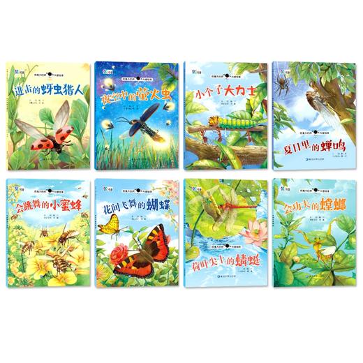 奇趣大自然科普绘本第1辑 全8册 蝴蝶 商品图1